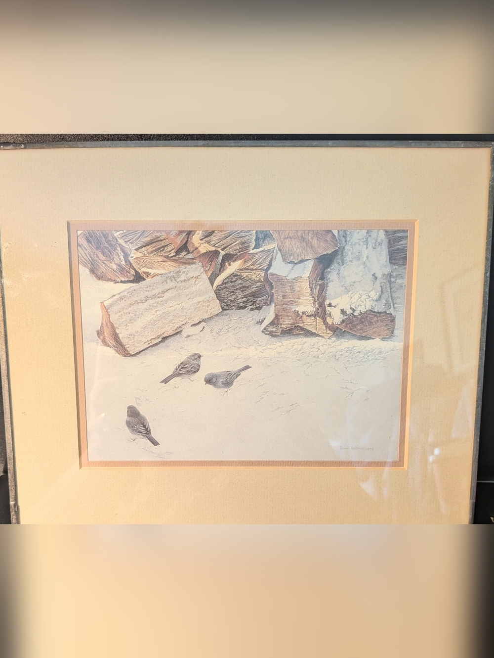 Robert Bateman Heritage Framed Bird Illustration in Cherrywood With Juncos